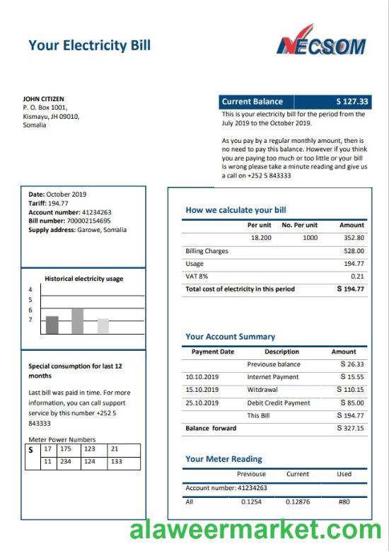 Somalia NESCOM Company electricity utility bill template in Word and PDF format